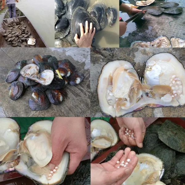 kf-Hb2e5f85909aa40418b968bbcc7670e7cl.webp kf-Hb2e5f85909aa40418b968bbcc7670e7cl.webp