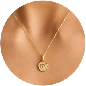 12 Constellation Libra Pisces Virgo Necklace for Women Men Vintage Zodiac Sign Coin Pendant Necklace Stainless Steel Jewelry